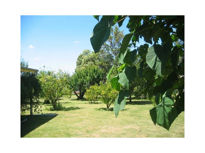 285 Ogilvie Ave, Echuca VIC 3564