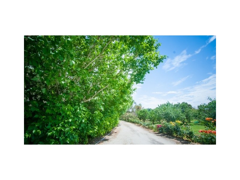 54 Riverview Court, Echuca VIC 3564