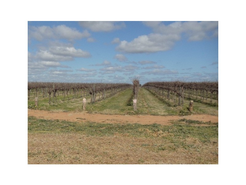 105 Gulval Road, Moama NSW 2731