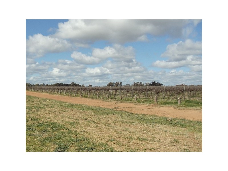 105 Gulval Road, Moama NSW 2731