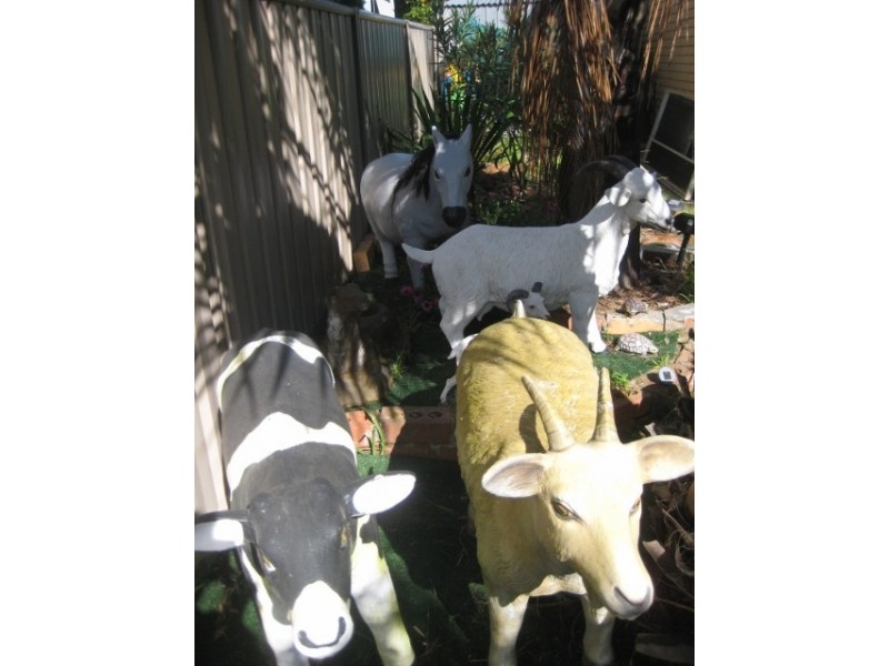 28a Pine Street, Echuca VIC 3564