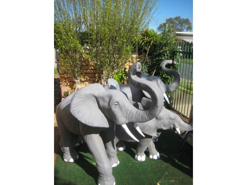 28a Pine Street, Echuca VIC 3564