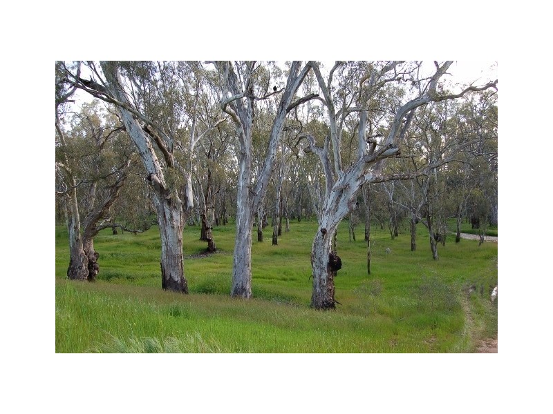 9 River View Court, Echuca VIC 3564