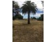 Lot Lots, 62 & 63 Livingstone Street, Mathoura NSW 2710
