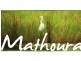 Lot Lots, 62 & 63 Livingstone Street, Mathoura NSW 2710