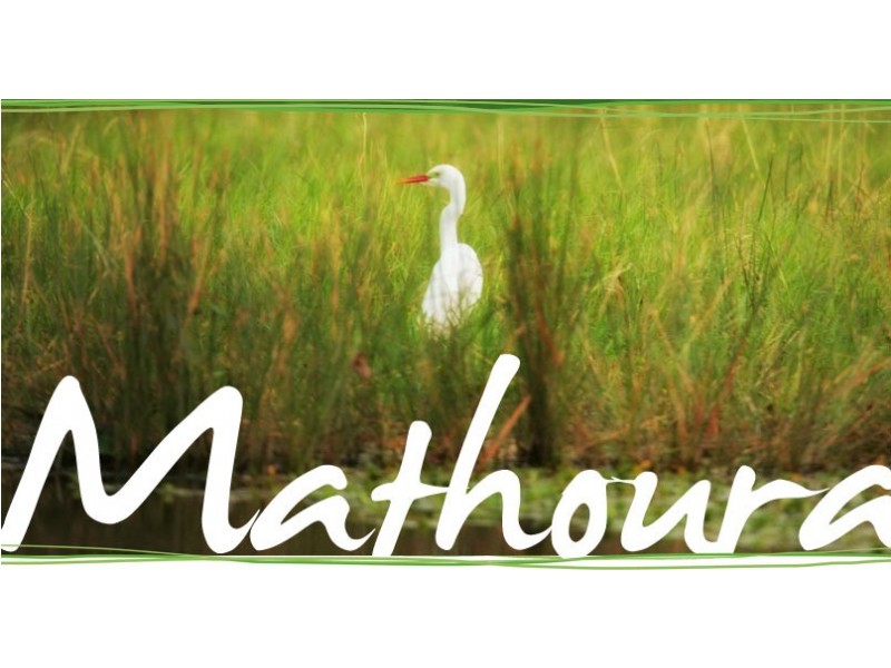 Lot Lots, 62 & 63 Livingstone Street, Mathoura NSW 2710