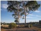 Lot Lots, 62 & 63 Livingstone Street, Mathoura NSW 2710