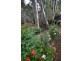 101 Haverfield Street, Echuca VIC 3564