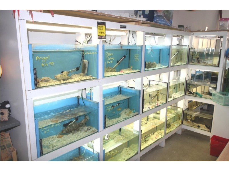 136 Hare Street, Echuca VIC 3564