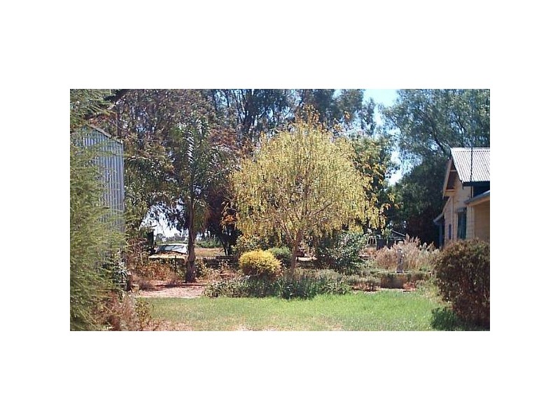 64 Clifton Street, Mathoura NSW 2710