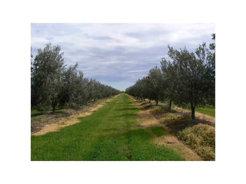 231 Farley Road, Echuca VIC 3564