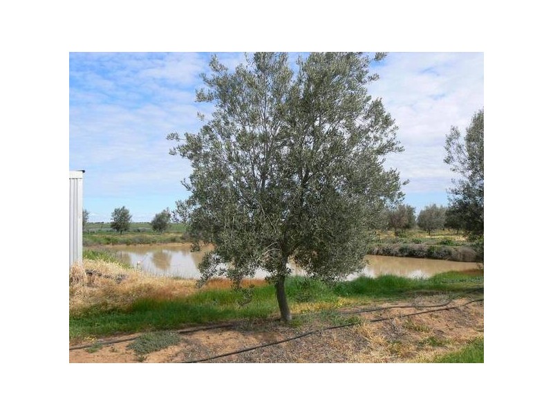 231 Farley Road, Echuca VIC 3564