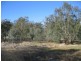 7 Riverview Drive, Barmah VIC 3639