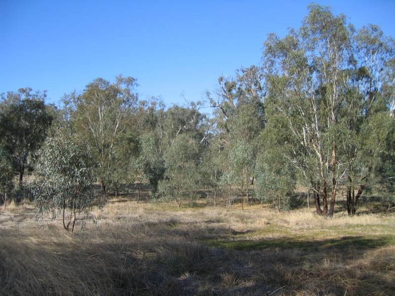7 Riverview Drive, Barmah VIC 3639