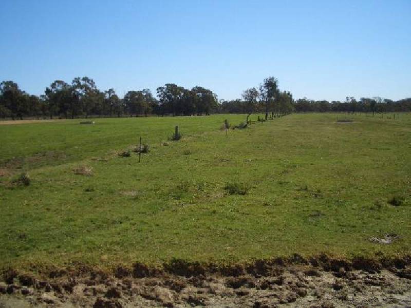 682 Island Road, Gunbower VIC 3566