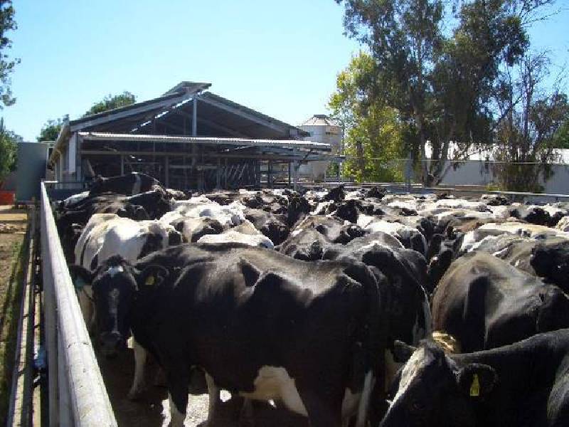 682 Island Road, Gunbower VIC 3566