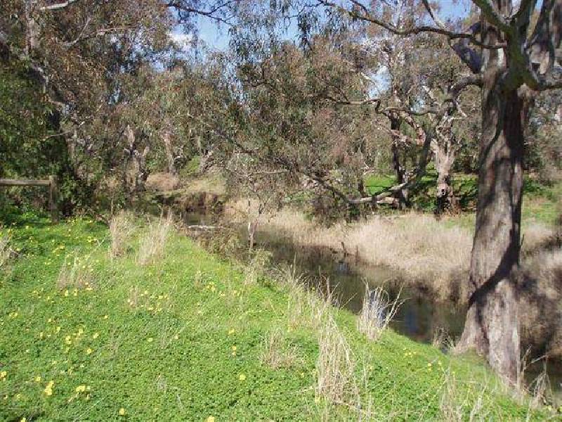 8 Singer Road, Echuca VIC 3564
