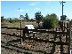 964 Wharparilla Road, Echuca VIC 3564