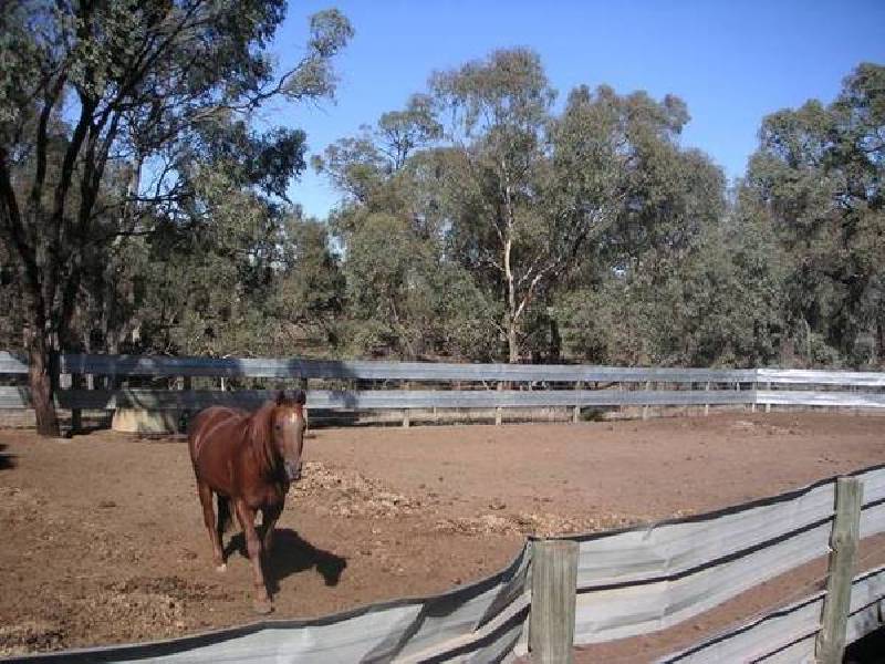 111 Pianta Road, Echuca VIC 3564