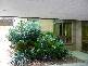 Campaspe Esplanade, Echuca VIC 3564