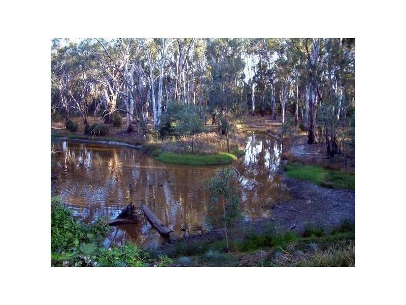 1/6 Berry Street, Moama NSW 2731