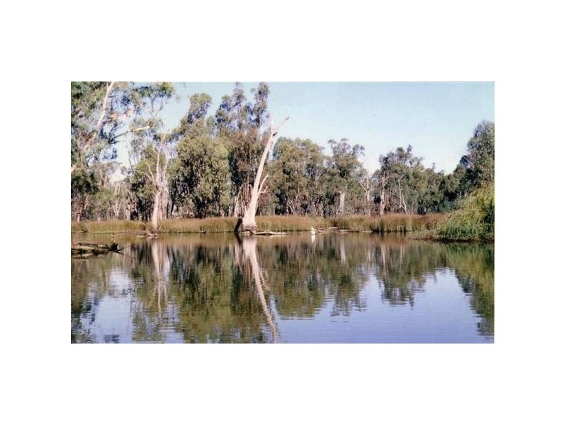 3924 COBB HIGHWAY, Mathoura NSW 2710