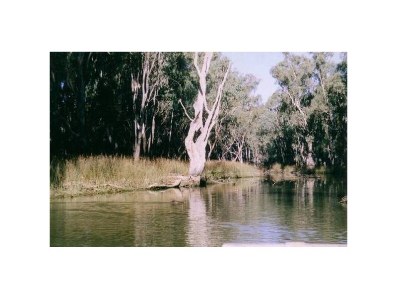 3924 COBB HIGHWAY, Mathoura NSW 2710