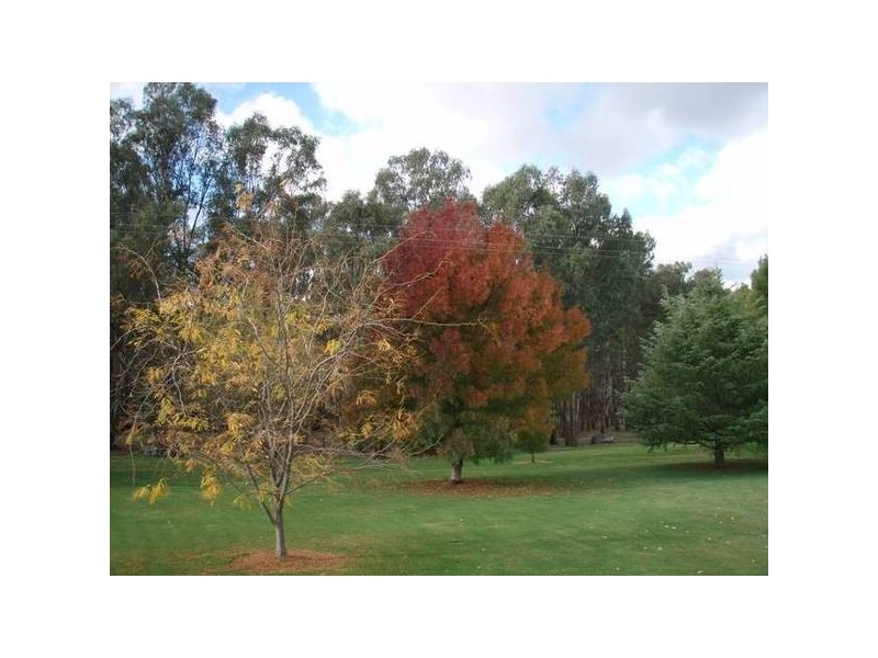 3924 COBB HIGHWAY, Mathoura NSW 2710