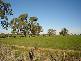0 Brown’s Road, Echuca Village VIC 3564