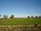 0 Brown’s Road, Echuca Village VIC 3564