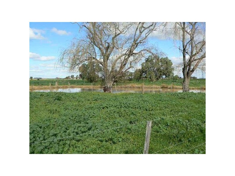 Simmie Road, Echuca VIC 3564
