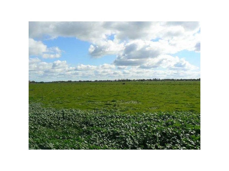 Simmie Road, Echuca VIC 3564