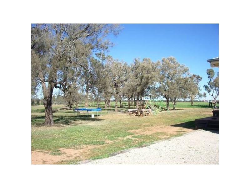 1277 Mt. Terrick Road, Echuca VIC 3564