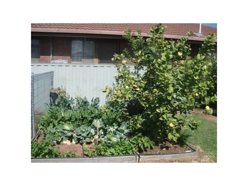 2/9A Burnes Street, Mathoura NSW 2710