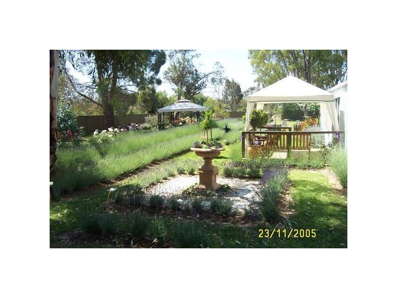 102 Chanter Street, Moama NSW 2731