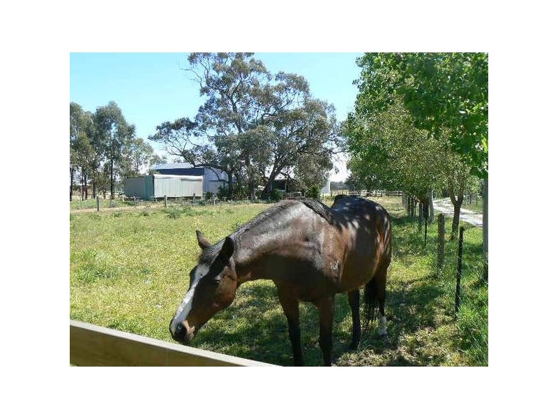 104 Hick’s Road, Echuca VIC 3564