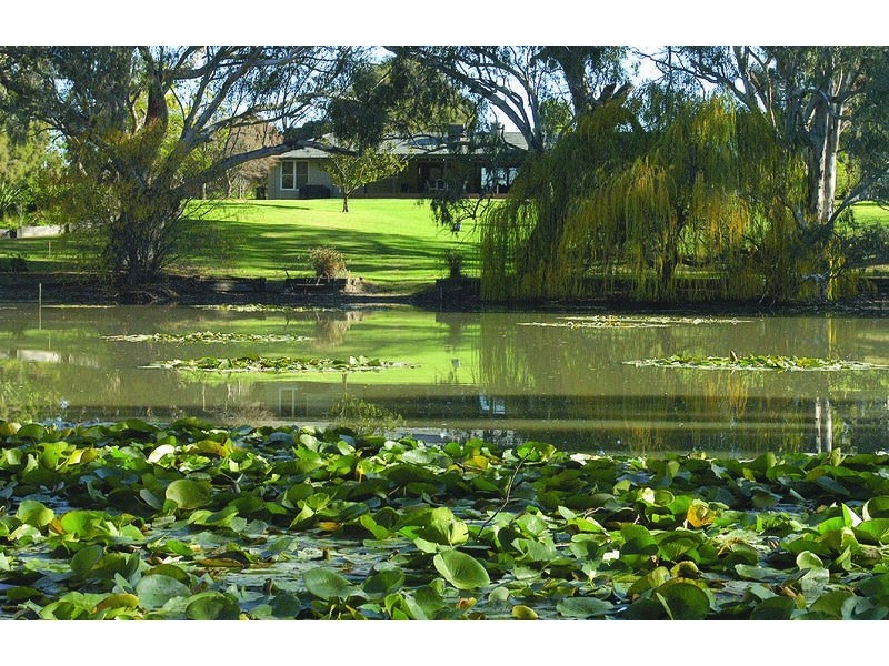 216 Wharparilla Drive, Echuca VIC 3564