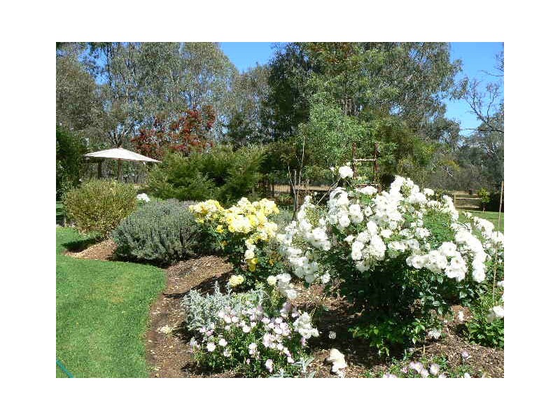 68 Point Road, Echuca VIC 3564