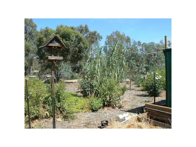 40 Moor Street, Barmah VIC 3639