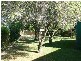 9 Pevensey Place, Moama NSW 2731
