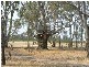 42 Glyn Road, Echuca VIC 3564