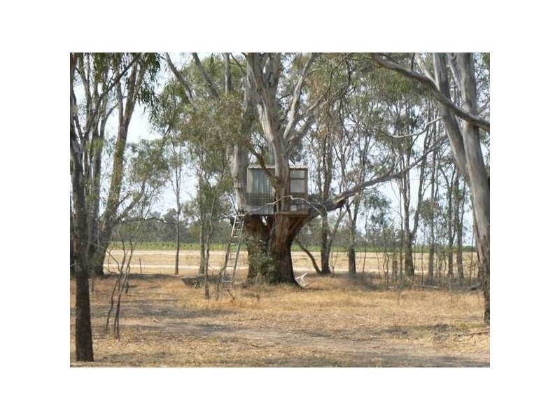 42 Glyn Road, Echuca VIC 3564