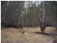RMB 1090 Gilmore Lane, Moama NSW 2731