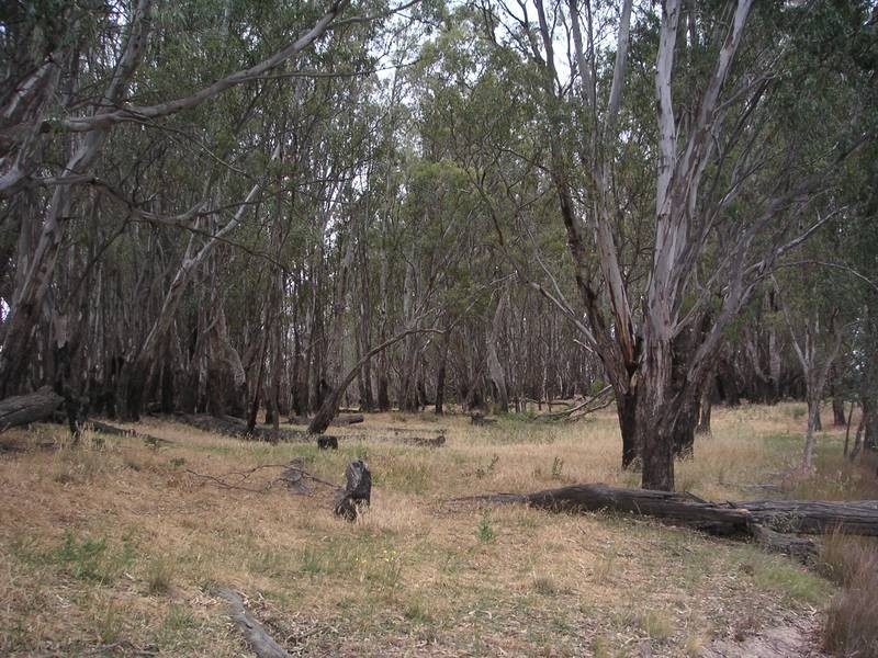 RMB 1090 Gilmore Lane, Moama NSW 2731