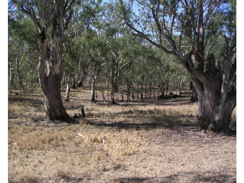 218 O’Dwyer Road, Echuca VIC 3564