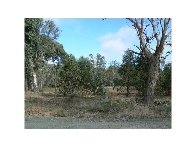 8 Lignum Lane, Moama NSW 2731