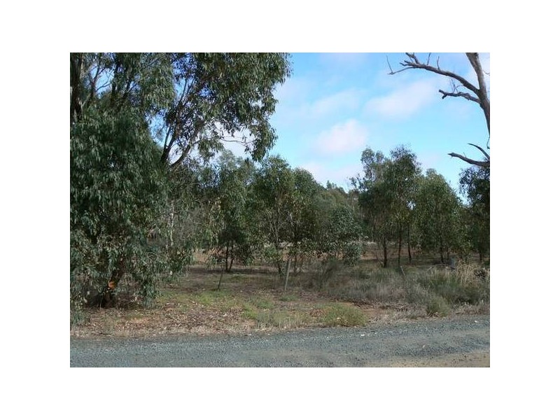 8 Lignum Lane, Moama NSW 2731