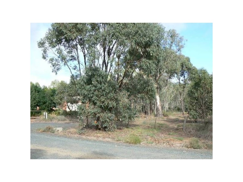 8 Lignum Lane, Moama NSW 2731