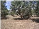 21 Tangey Lane, Echuca VIC 3564