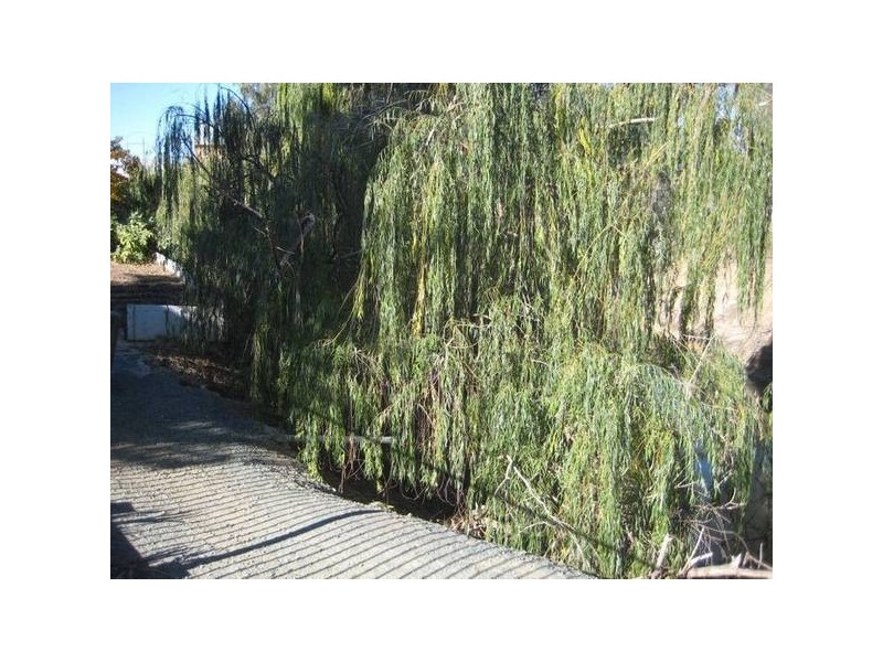 535 High Street, Echuca VIC 3564